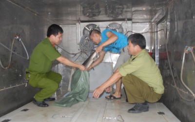 Bắt giữ 810 kg cá tầm không rõ nguồn gốc