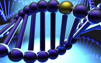 Thành lập Ngân hàng gene vi sinh vật đầu tiên ở Việt Nam