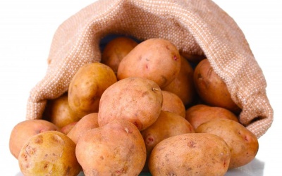 Lựa chọn dinh dưỡng cho trẻ gầy