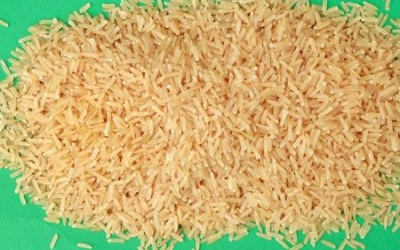 Gạo mầm tốt cho người bệnh tiểu đường