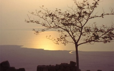 Vợ… về chiều