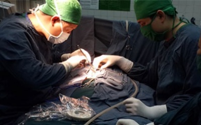 Cứu sống trẻ suy dinh dưỡng bào thai nặng bằng kỹ thuật cấy máy tạo nhịp tim