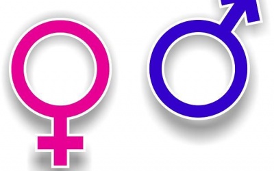 Những khác biệt thú vị giữa nam và nữ