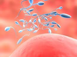 Đo ROS để biết tinh binh có còn 'tốt'