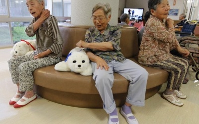 Giảm kích động ở bệnh nhân mất trí nhờ robot động vật