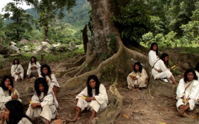 Bộ tộc sống thọ trên 100 tuổi nhờ ăn chay