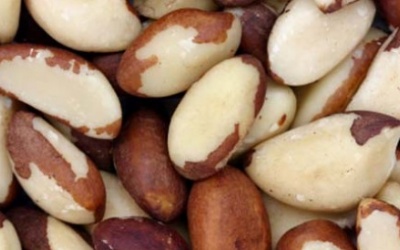 Những thực phẩm tốt cho tuyến tiền liệt