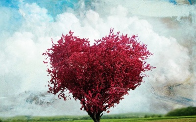 Thương người làm mình giận là thương lấy mình