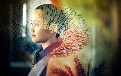 Lê Cát Trọng Lý: Tôi cảm thấy giờ đây tôi là chính tôi