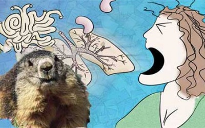 Madagascar: Bùng phát dịch hạch thể phổi, 39 người chết