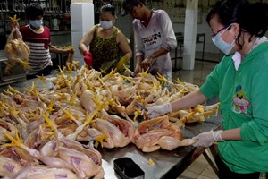 Hà Nội phát hiện gần 130 vụ vi phạm an toàn thực phẩm