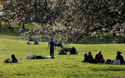 Vitamin D tự nhiên giúp chống lại bệnh đa xơ cứng