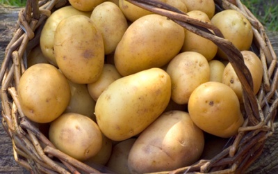 Khoai tây - đủ đường ích lợi