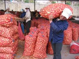 “Sao lại cấm lựa chọn duy nhất để mưu sinh của phụ nữ”?