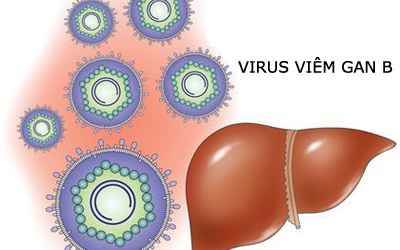 15% - 20% dân số nhiễm viêm gan B không có triệu chứng