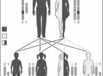 'Thiếu men G6PD' là bệnh gì?