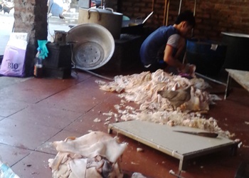 “Quái chiêu” tẩy mùi và làm trắng bì lợn thối