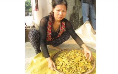 'Thuốc Nam đánh giặc, thuốc Bắc lấy tiền'