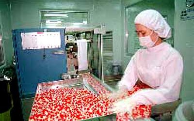 Mở đường cho thuốc nội “ép” thuốc ngoại