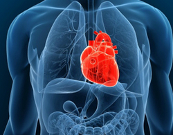 Cấy ghép thành công tim nhân tạo ở người