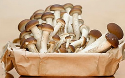 Những hiểm nguy rình rập từ thực phẩm