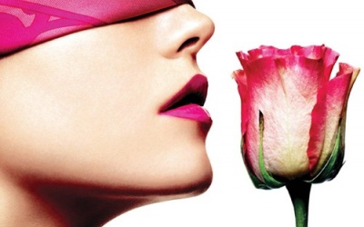 Khứu giác và mùi