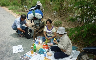Thực phẩm khi dã ngoại