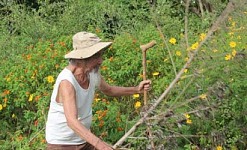 Lương y 50 năm tu luyện trên chuông Am hành đạo cứu người