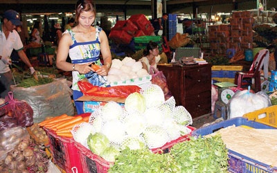 Vẫn 'than khó' về kiểm tra nhanh chất lượng rau quả