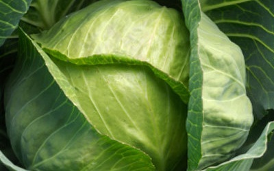 Mùa lạnh ăn gì?