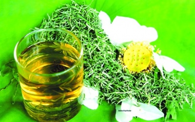 Đừng tùy tiện dùng trà thảo dược