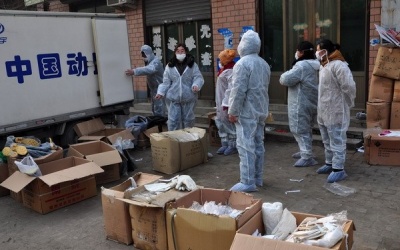 Trung Quốc lại bùng phát dịch cúm A/H5N1