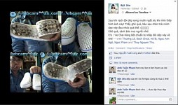 Hoang mang vì dép 'lạ'