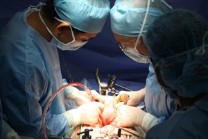 Chủ tịch Hiệp hội Phẫu thuật mạch máu châu Âu đến VN
