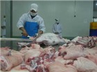 Tăng cường phát hiện thực phẩm mất an toàn