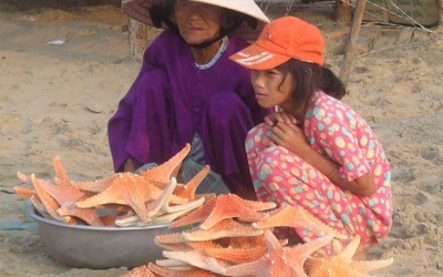 Hoạt chất sao biển giúp chữa khỏi đột quỵ