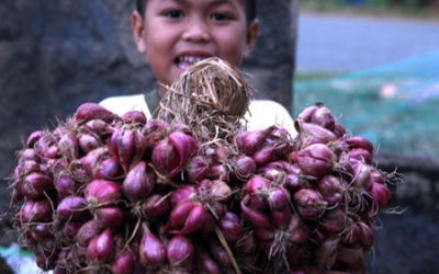 Dưa hành ngon, muối thế nào?