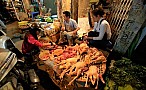 Hà Nội sẽ đặt máy soi thực phẩm bẩn tại các chợ