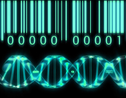 Lần đầu xây dựng thành công hệ gene người Việt