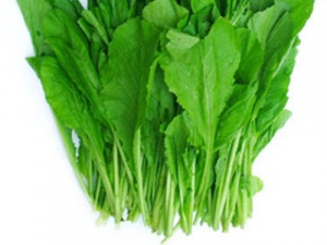 Rau cải bị phun hóa chất nhiều nhất?