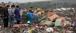 Tiêu hủy 23 tấn nho khô, mứt... mập mờ xuất xứ