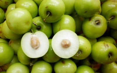 Cây táo và công dụng phòng - chữa bệnh