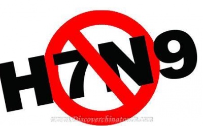 Thủ tướng chỉ đạo phòng chống dịch cúm gia cầm