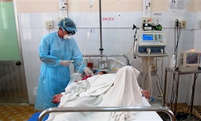 Dịch cúm gia cầm lan ra 9 tỉnh