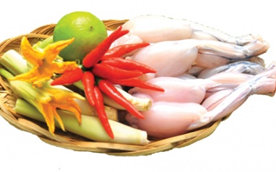 Thịt cóc - có nên cho trẻ ăn?