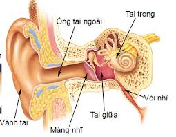 Ráy tai tiết lộ về... chủ nhân