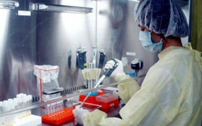 Nghiên cứu về chủng virus sởi gây dịch