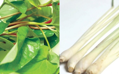 Bài thuốc Đông y trị sởi cực nhạy