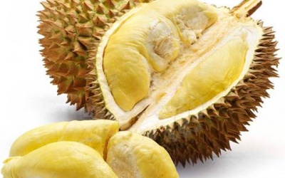 Tập... ăn sầu riêng vì sức khỏe