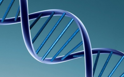 Lập trình điều khiển các phân tử thuốc